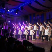 Postillione Wesseling (16.01.10)